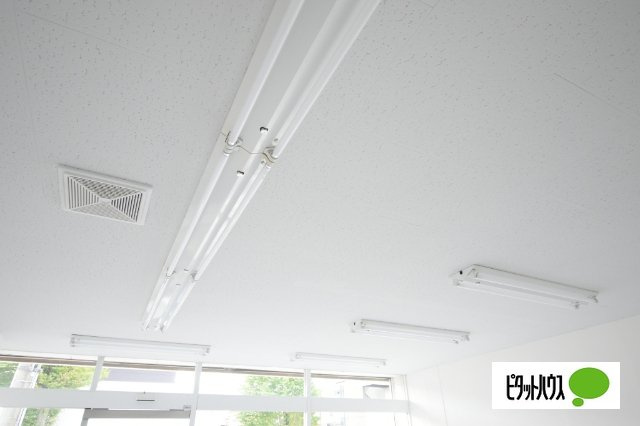 塚田ハイツの内装|蛍光灯