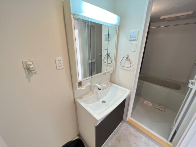 Ｌａ　Ｆｏｒｔｅ　南鳩ヶ谷（ラフォルテミナミハトガヤ）の洗面所|洗髪洗面化粧台