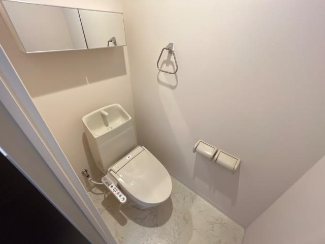 Ｌａ　Ｆｏｒｔｅ　南鳩ヶ谷（ラフォルテミナミハトガヤ）のトイレ|シャワー付トイレ