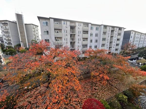 【その他】 | 藤阪ハイツA1棟