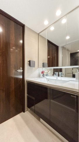 シティタワーズ東京ベイ　セントラルタワーの独立洗面台