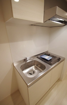 川崎市多摩区中野島３丁目の賃貸マンションのキッチン