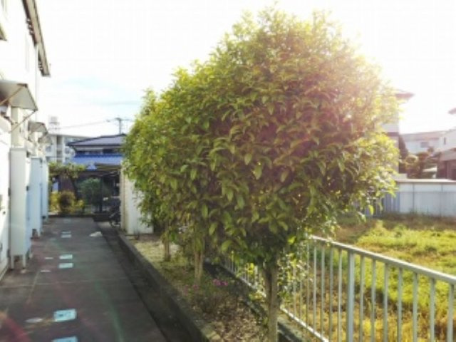 レオパレス恵比寿のその他