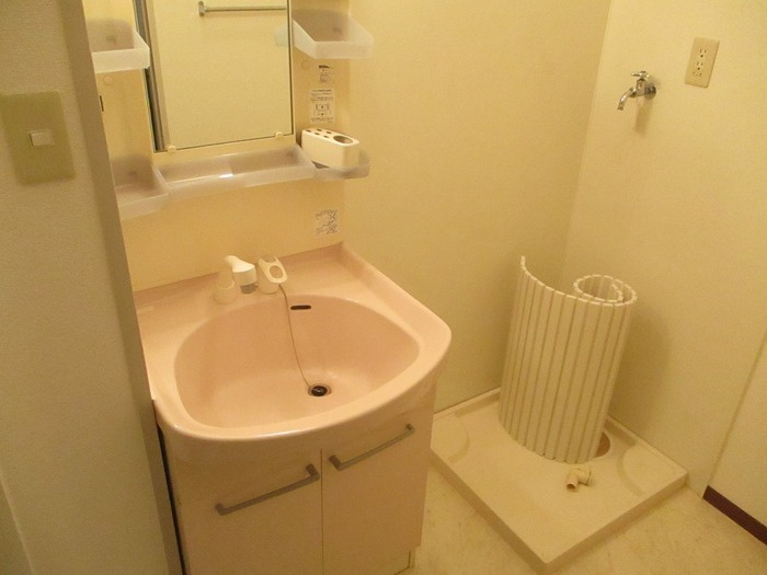 ブライツコートの洗面所