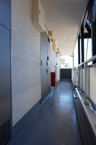 リブリ・ドリームのその他