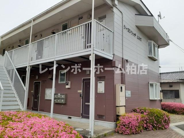 【仲介手数料：50％OFF】対象物件！の外観|外観は落ち着いています