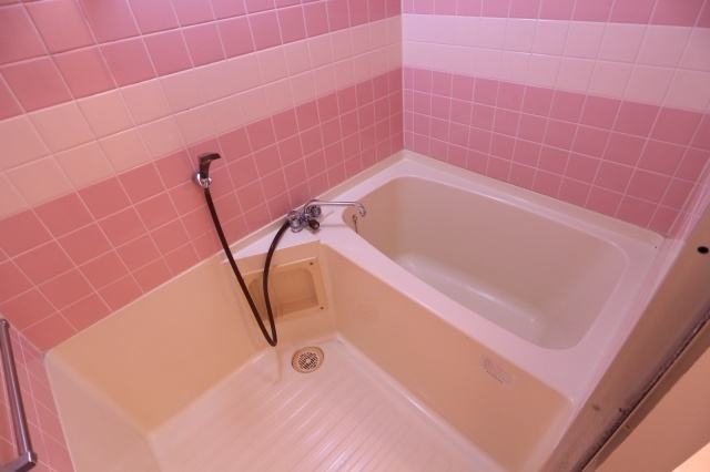 ハイツメルシーの浴室