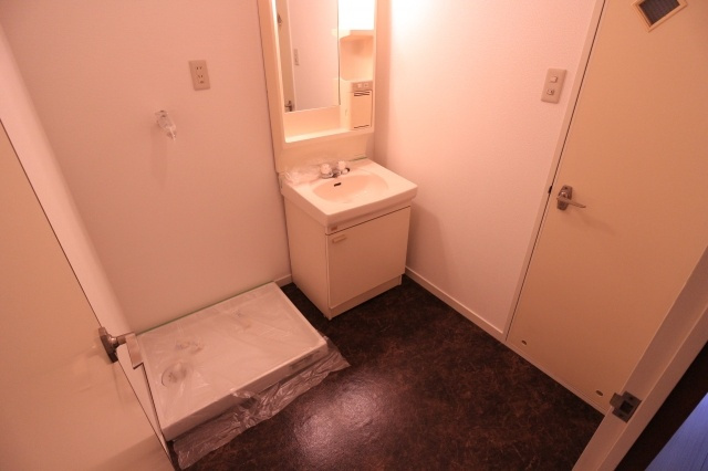 ハイツメルシーの洗面所