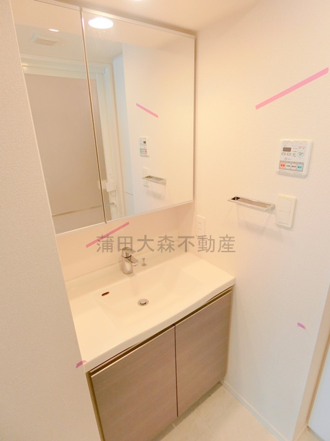 パークアクシス蒲田ステーションゲートの洗面所|独立洗面台