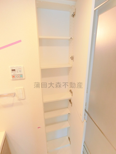 パークアクシス蒲田ステーションゲートの収納|洗面所収納