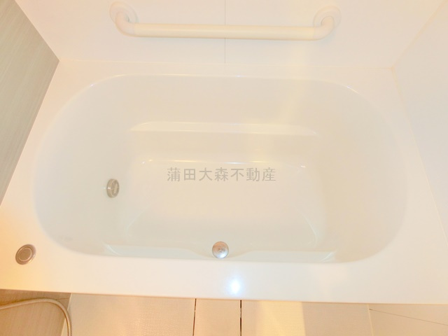 パークアクシス蒲田ステーションゲートの浴室