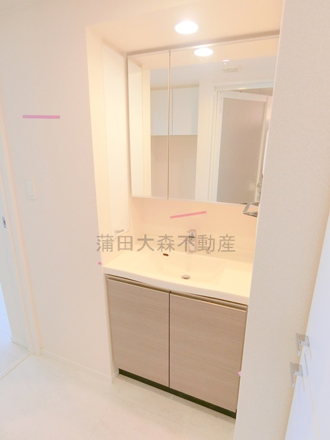 パークアクシス蒲田ステーションゲートの洗面所