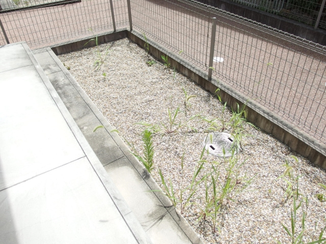 グレイス（百々町）の庭