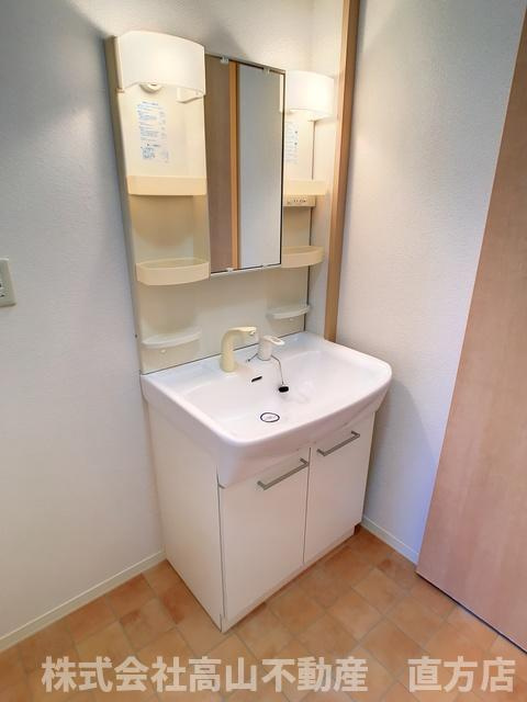 ハーティストT A棟の洗面所