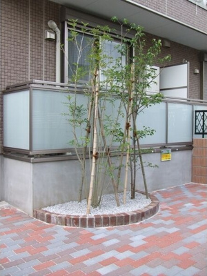 【展望】 | エミアミティエ立川羽衣(エミアミティエタチカワハゴロモ)