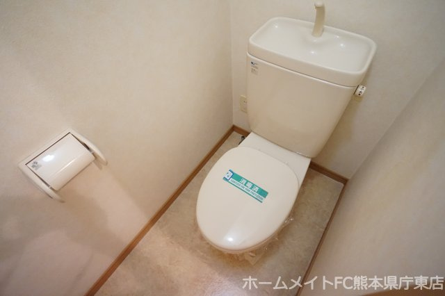 熊本市南区出仲間８丁目の賃貸マンションのトイレ