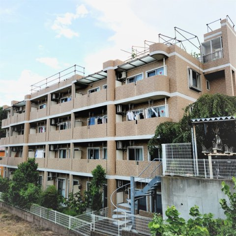 アプリコットハウスの展望