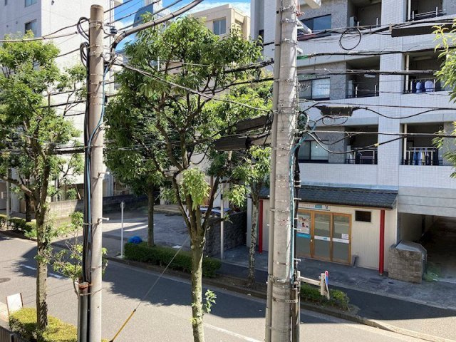 ロジェの展望