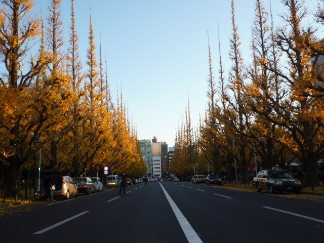 南青山ビルの周辺