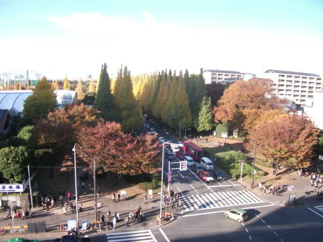 南青山ビルの周辺