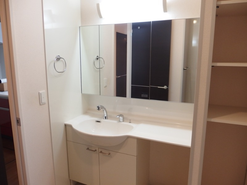 アルピニアの洗面所