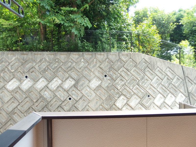 アルピニアの展望