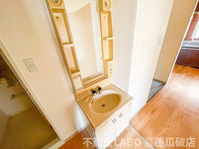 メゾンムーランの洗面所