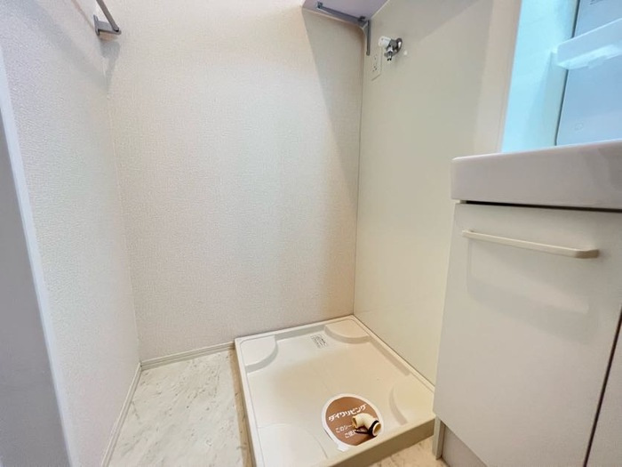 アーバンフジの洗面所