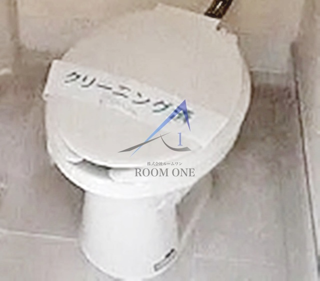 メゾン・ド・ロワジールのトイレ|トイレです。