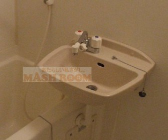 ドリームメゾンの洗面所