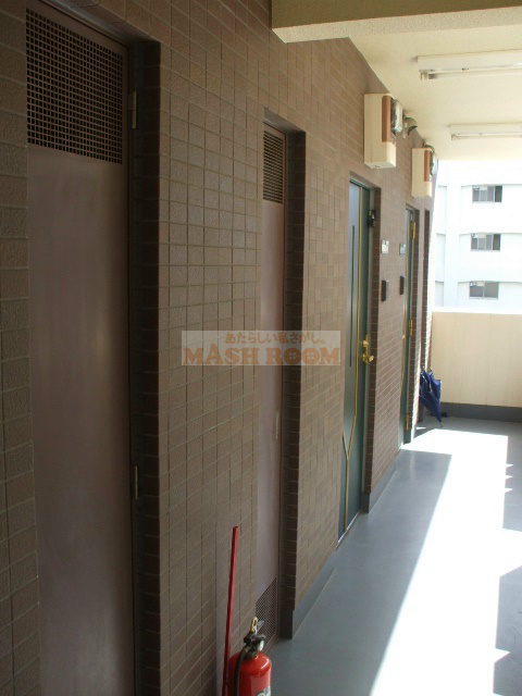 ドリームメゾン