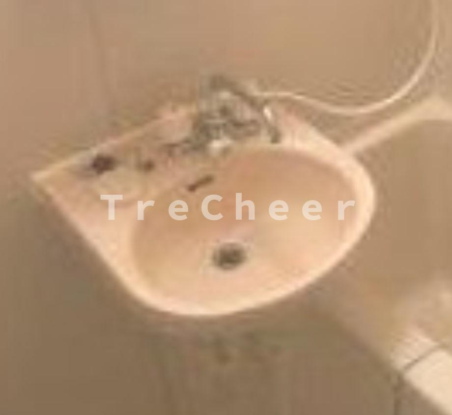 スターコート高野台2の洗面所