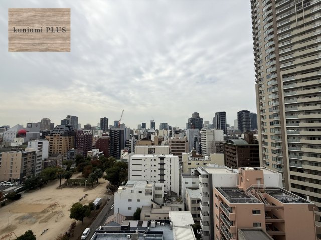 グラン・ドムール南大江パークタワーの展望