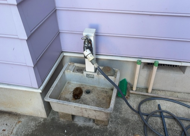 【設備】 | 敷地内に散水栓や立水栓があると便利です。水道水を直接利用できるため、水を運ぶ手間を省くことが出来ます。大量の水を必要とする洗車作業や清掃などに役立ちます。その他設備とあわせて、現地でご確認ください。