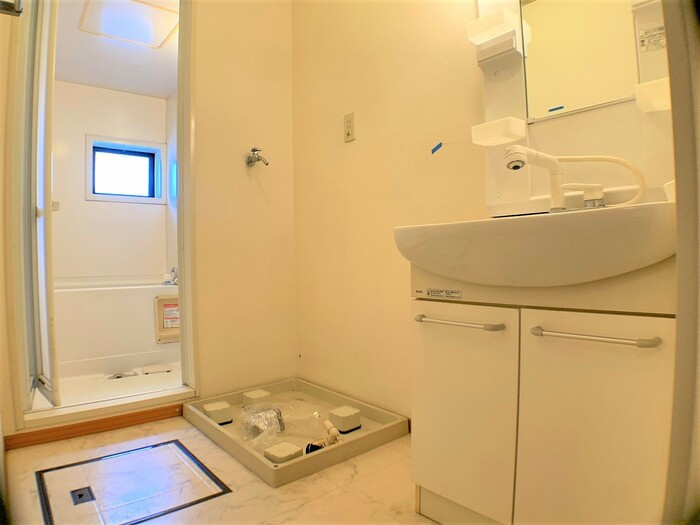 セジュール薮田の洗面所