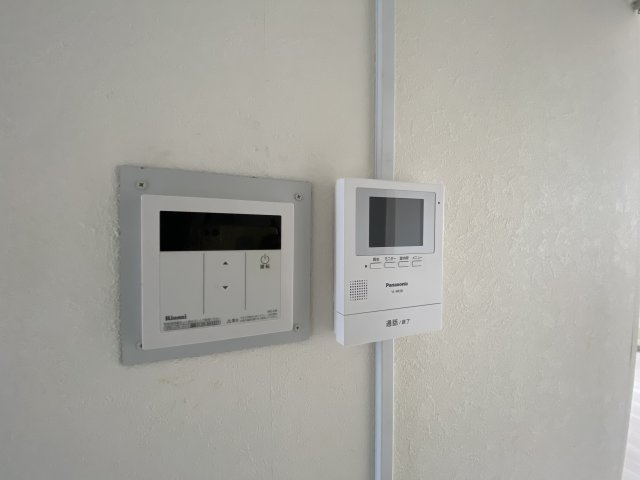 ハイム・ジュネスのセキュリティ