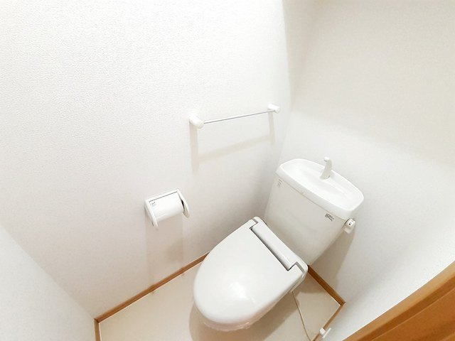 ルピナスのトイレ