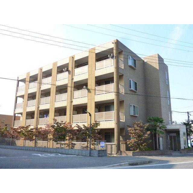 アンプルール フェール COCOの外観