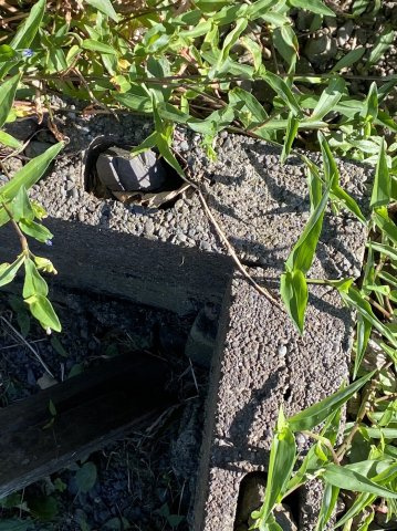 売地の外観|敷地広々、お好きなメーカーで建築可能！