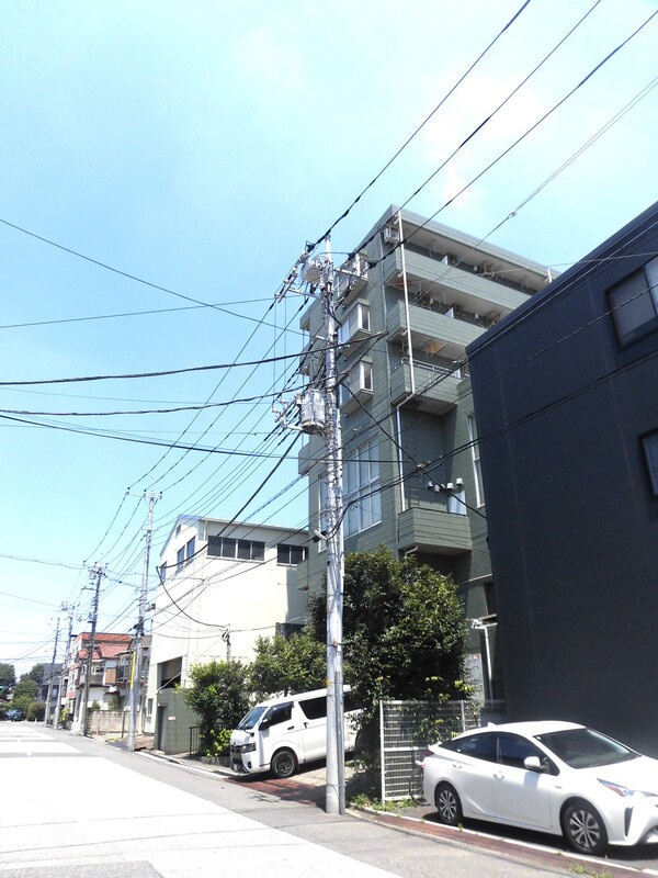 オリーブの外観