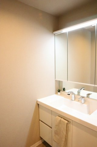 アルファステイツ富田浜の独立洗面台