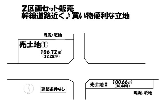 売地2区画一括の土地図