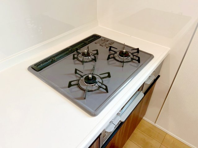 新築 島田市松葉町　第1期　限定1棟のその他