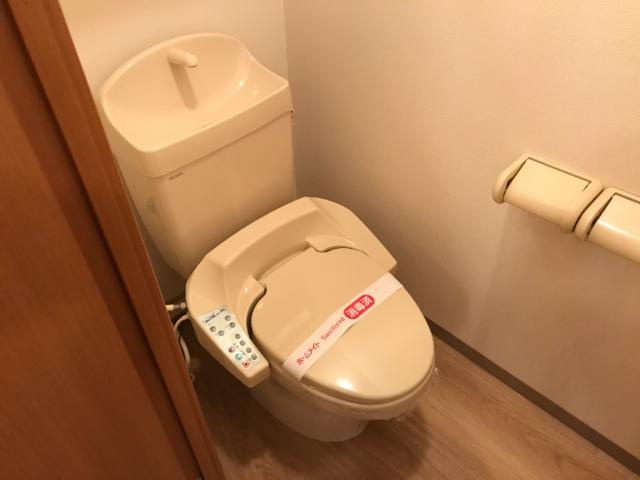 グランシャリオ一色のトイレ|シャワー付トイレ