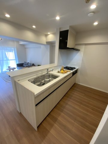 ダイアパレスかちどき橋のキッチン