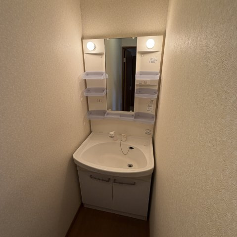 セジュール壱番館の洗面所