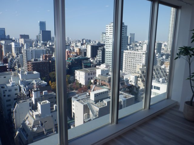 クラッシィタワー新宿御苑の展望|リビングより