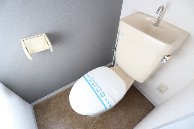 パストラルハイムのトイレ