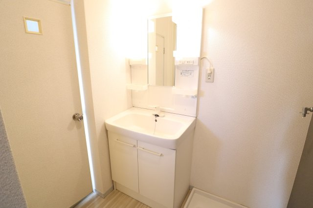 パストラルハイムの洗面所