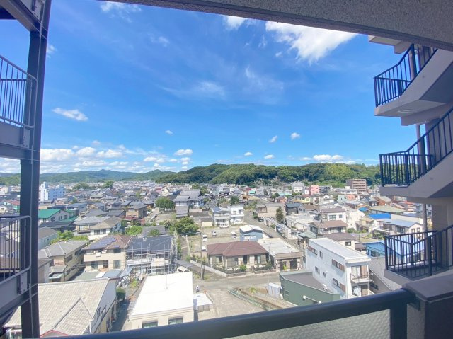 MY・CASTLE藤枝　蓮華寺池公園の展望